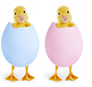 At Clever Fox, we help you advance in both your personal and professional life as fulfillment in one aspect directly correlates to more satisfaction in the other.